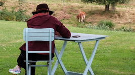 Une personne se tient assise de dos et écrit sur une table dans un jardin.