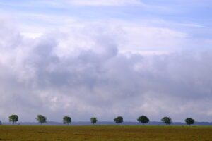 Vue d'un paysage de campagne, où des arbres au loin forment une haie naturelle.