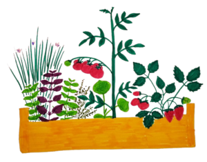 logo de la pépinière d'agathe représentant des plants de potager dans un bac de culture