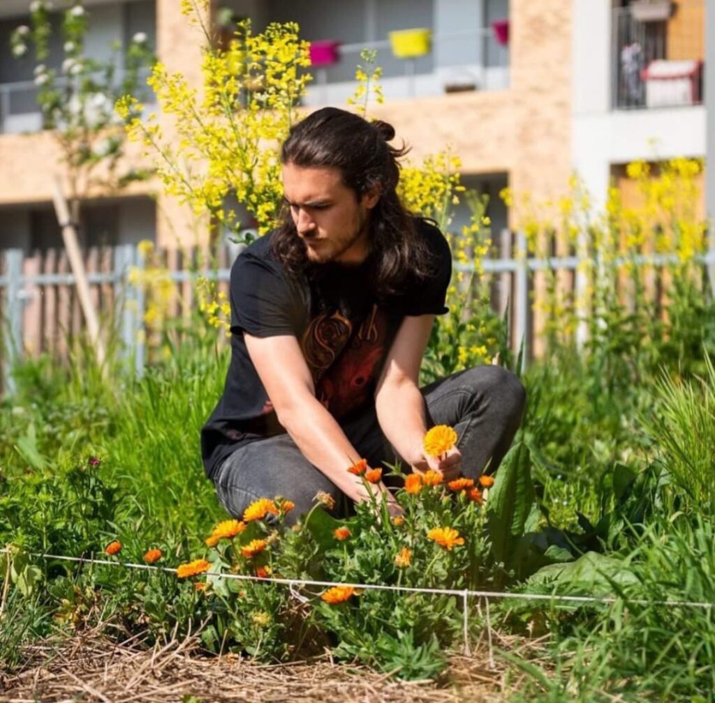 Maraicher entretenant des plantes